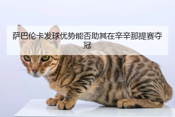 sa-ba-lun-ka-fa-qiu-you-shi-neng-fou-zhu-qi-zai-xin-xin-na-ti-sai-duo-guan-2-116.jpg