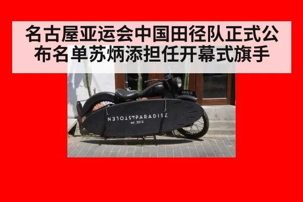 名古屋亚运会中国田径队正式公布名单苏炳添担任开幕式旗手